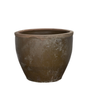 Mulberry Planter