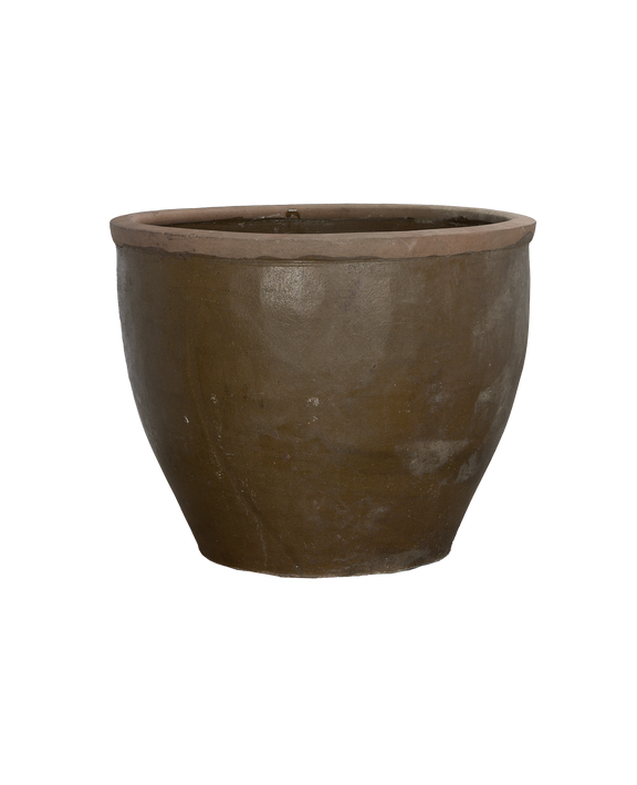 Mulberry Planter