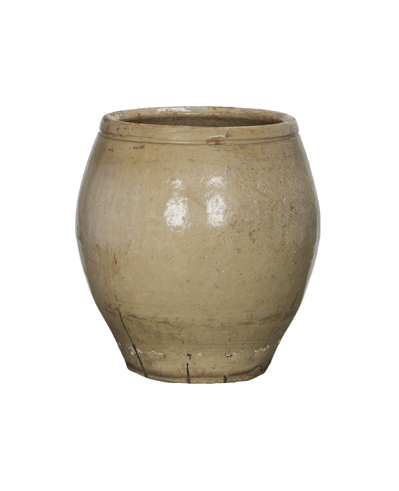 Plum Planter