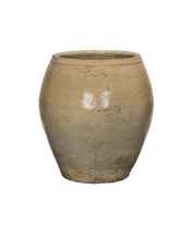 Plum Planter