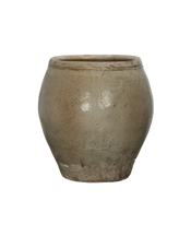 Plum Planter