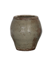 Plum Planter
