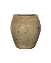 Plum Planter