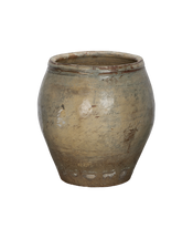 Plum Planter
