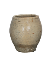 Plum Planter
