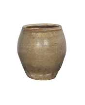 Plum Planter