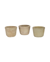 Orangerie Pots