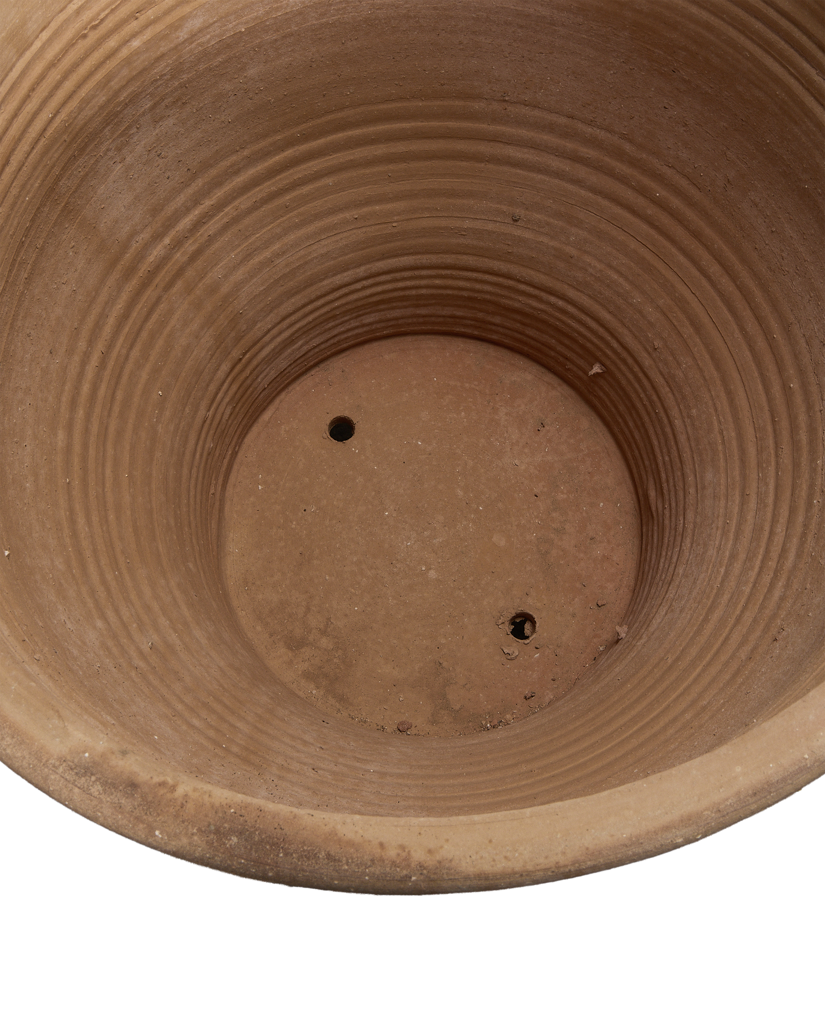 Exara Planter back view