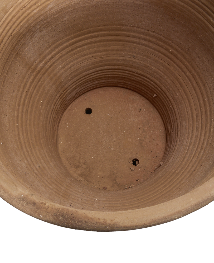 Exara Planter back view