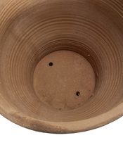 Exara Planter