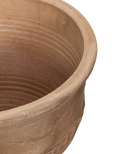 Exara Planter