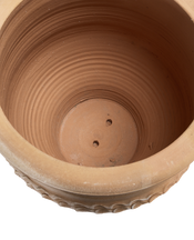 Tzara Planter