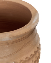 Tzara Planter