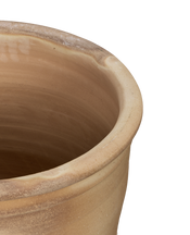 Delta Planter