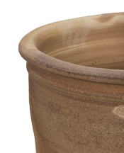 Delta Planter