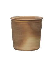 Delta Planter