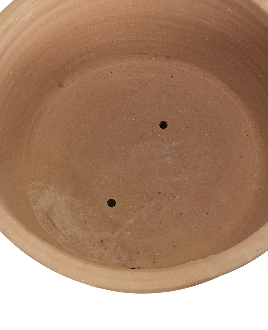 Aristea Planter back view