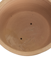 Aristea Planter