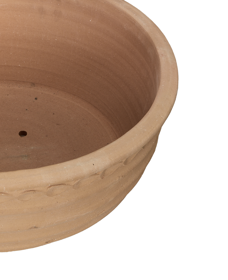 Aristea Planter back view