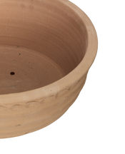 Aristea Planter