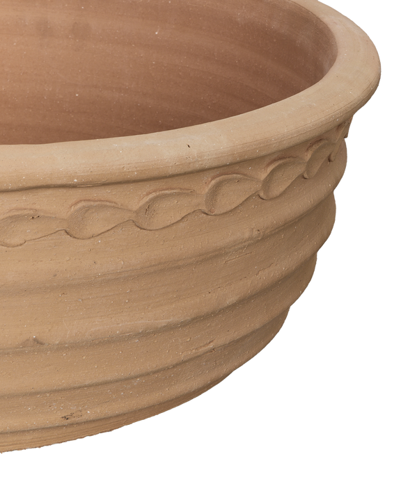 Aristea Planter