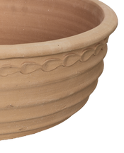Aristea Planter