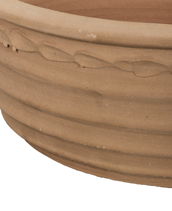 Aristea Planter