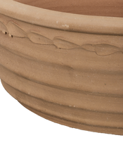 Aristea Planter