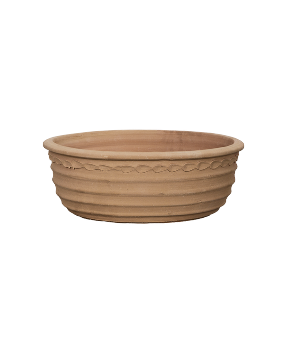 Aristea Planter