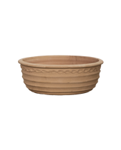 Aristea Planter