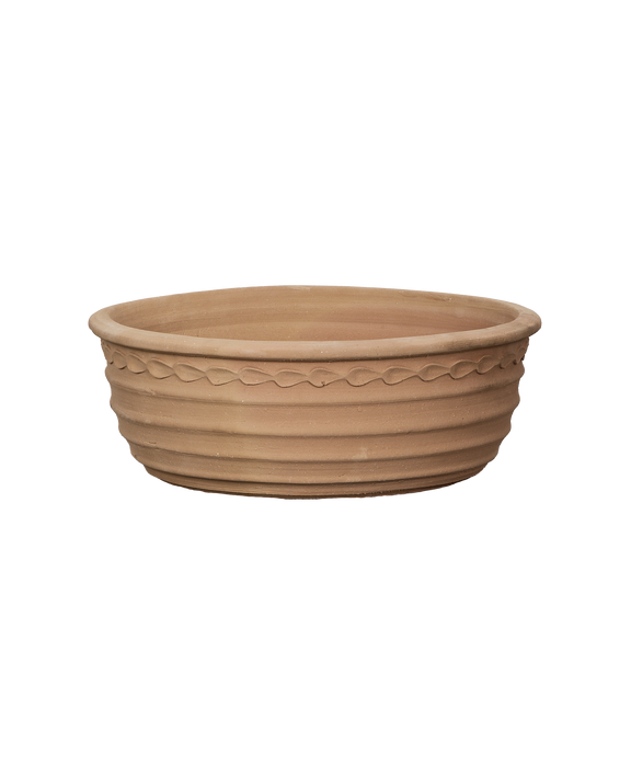 Aristea Planter