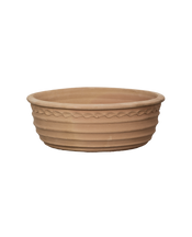 Aristea Planter
