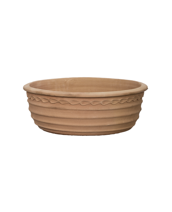 Aristea Planter