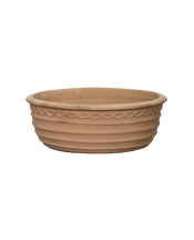 Aristea Planter