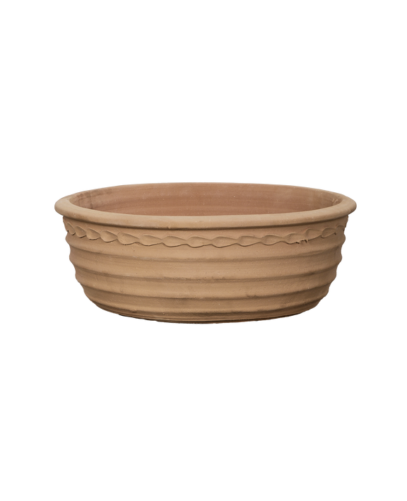 Aristea Planter