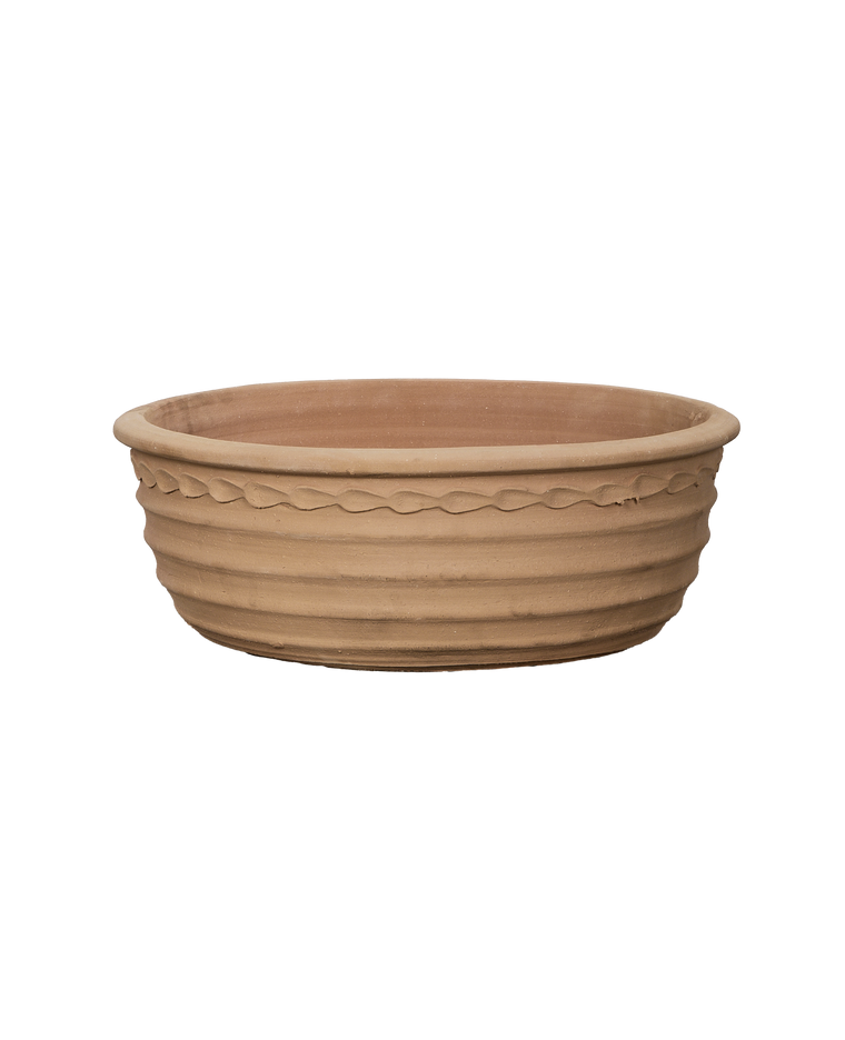 Aristea Planter