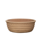 Aristea Planter