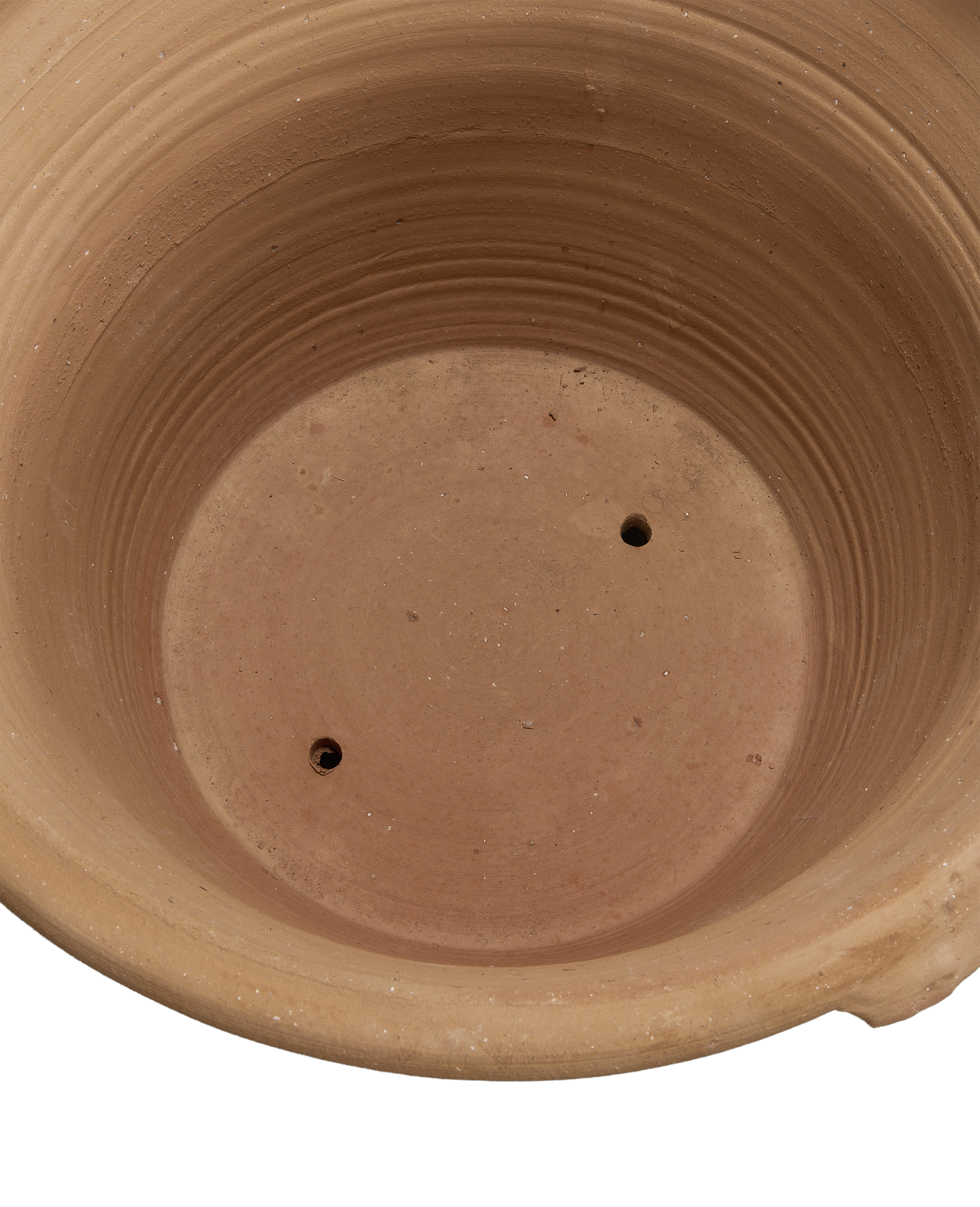 Lekanida Triheri Planter back view