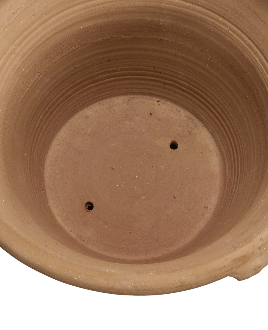 Lekanida Triheri Planter back view