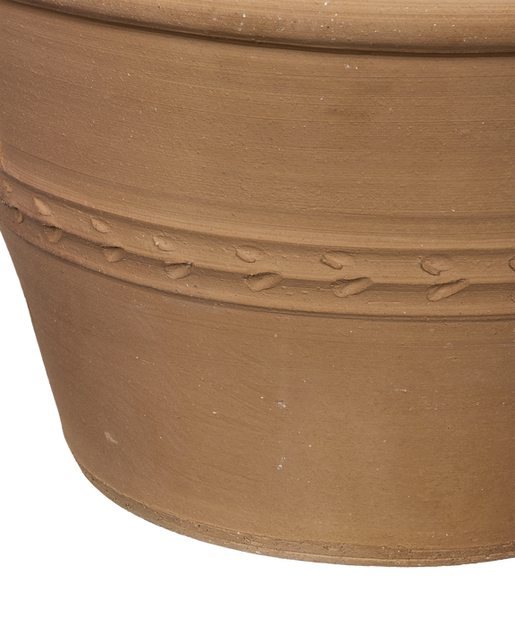 Lekanida Triheri Planter