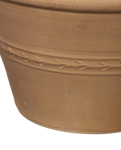 Lekanida Triheri Planter