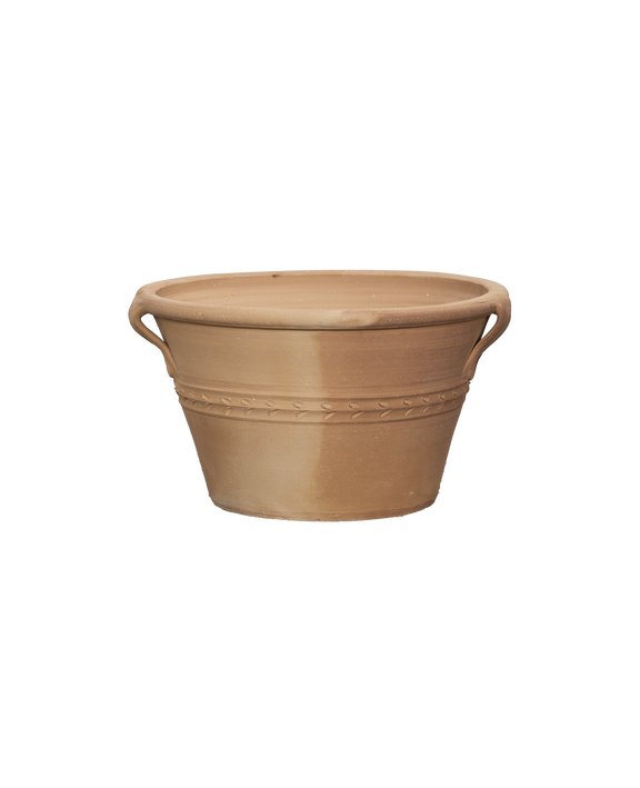 Lekanida Triheri Planter