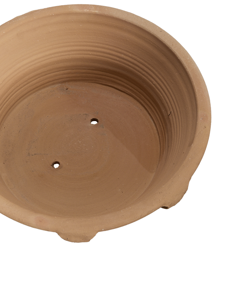 Lekanida Planter back view