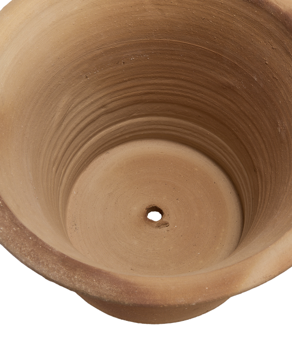 Ifigenia Planter