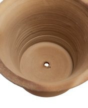 Ifigenia Planter