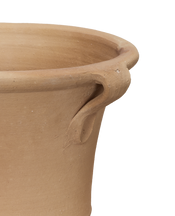 Ifigenia Planter