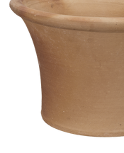 Ifigenia Planter