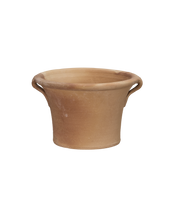 Ifigenia Planter