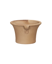 Ifigenia Planter