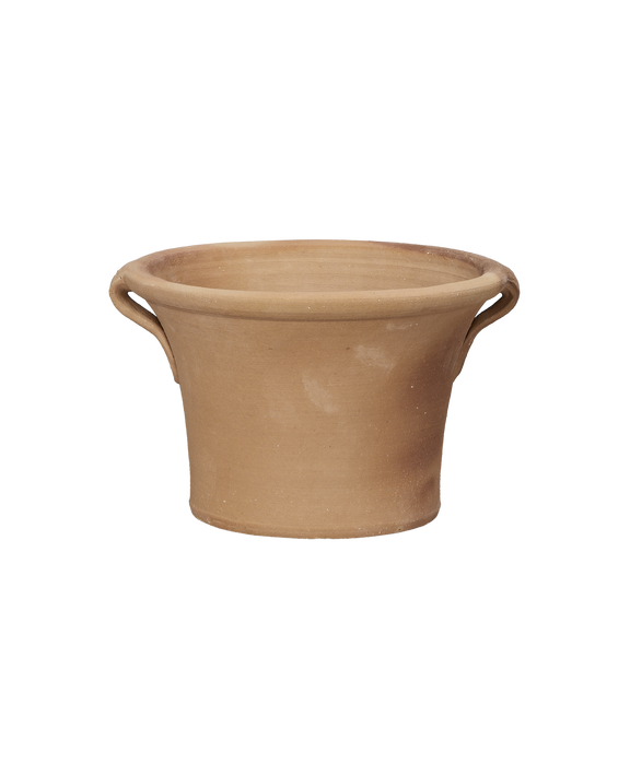 Ifigenia Planter